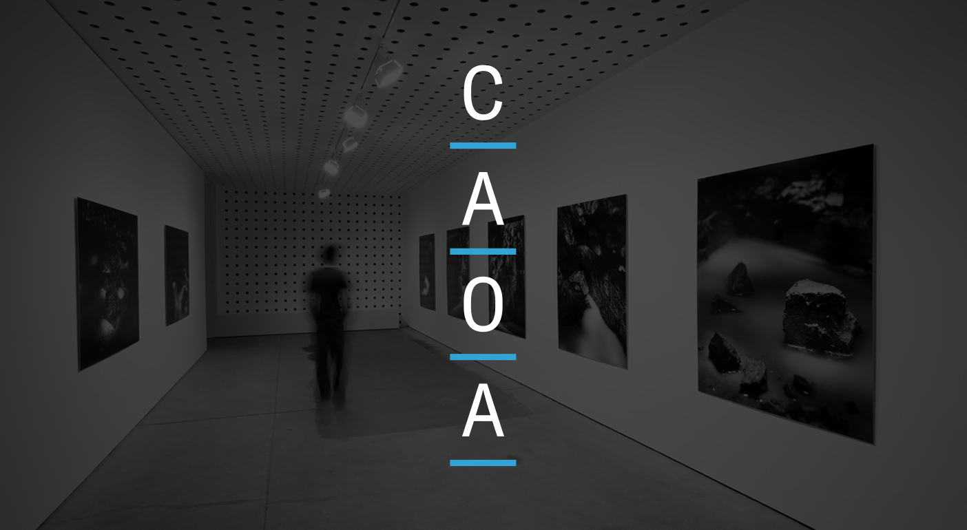 Contemporary Arts Organisations Australia (CAOA).